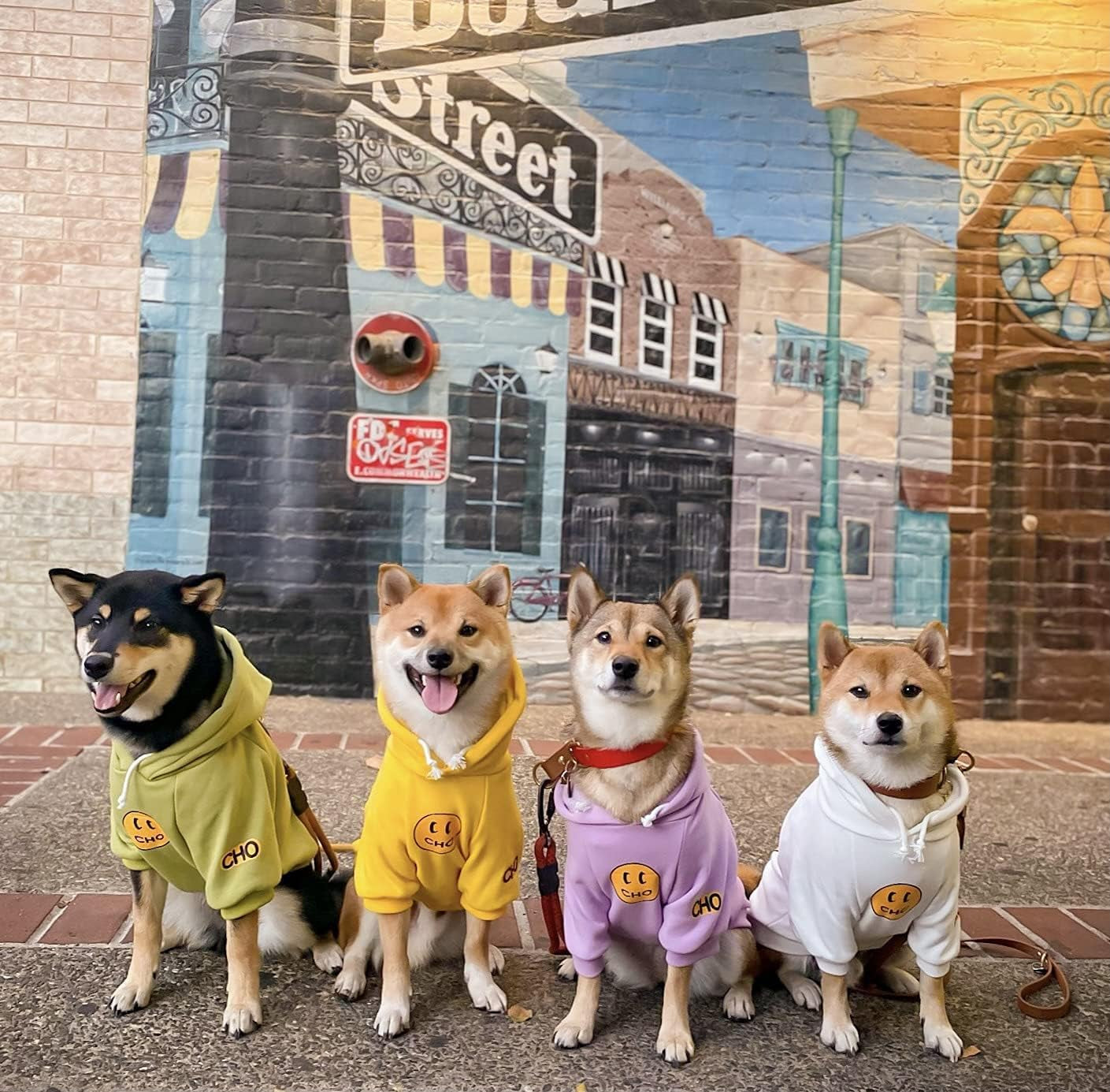 Chochocho Smiley Dog Hoodie Stylish Dog Clothes Smiley Face Sweater Cotton Sweatshirt Fashion Outfit for Dogs Cats Puppy Small Medium Large (L, White)