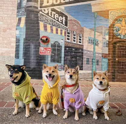 Chochocho Smiley Dog Hoodie Stylish Dog Clothes Smiley Face Sweater Cotton Sweatshirt Fashion Outfit for Dogs Cats Puppy Small Medium Large (L, White)