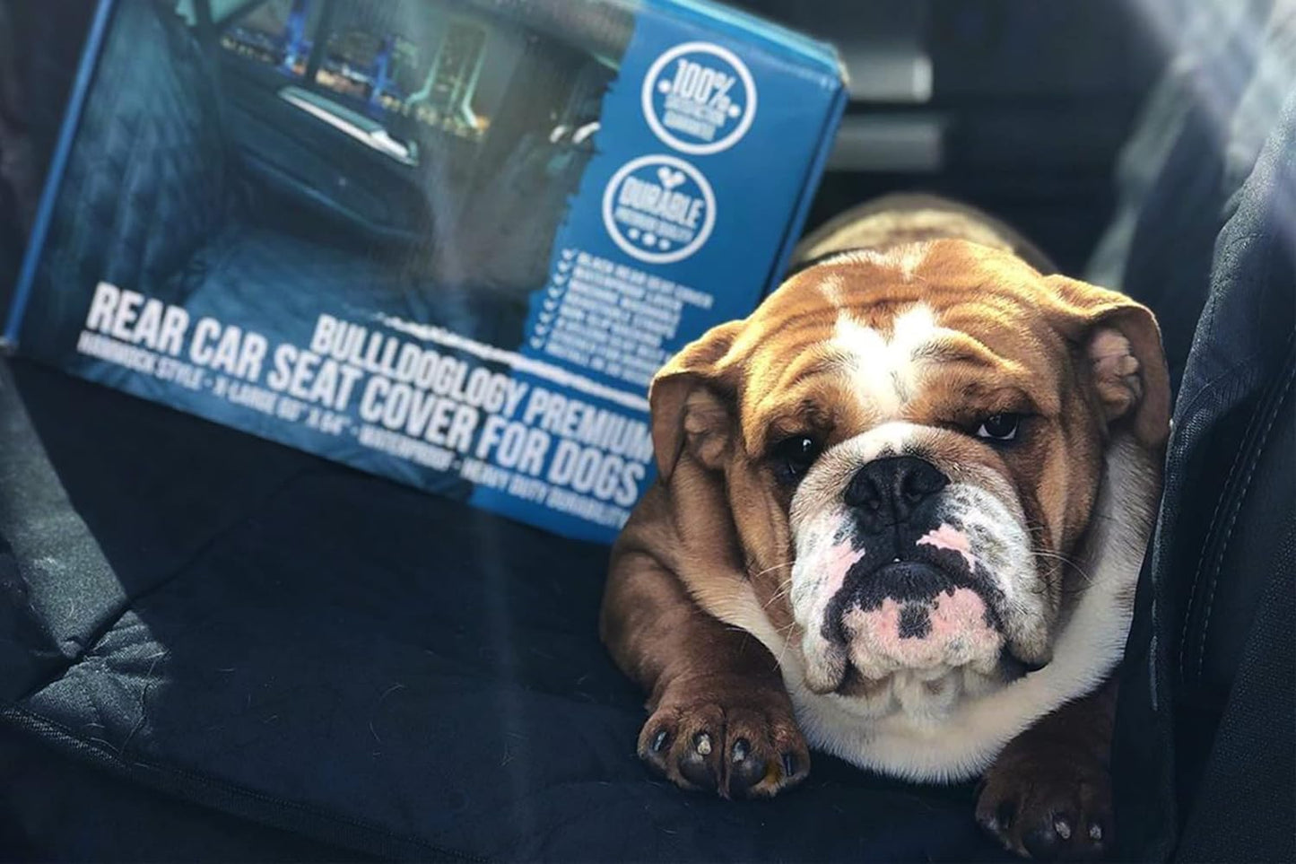 Bulldogology Dog Car Seat Cover for Back Seat 58"X56" Waterproof Pet Seat Cover SUV - Seat Cover for Dogs - Back Seat Protector - Dog Hammock for Car, Seat Cover for Truck (Large)