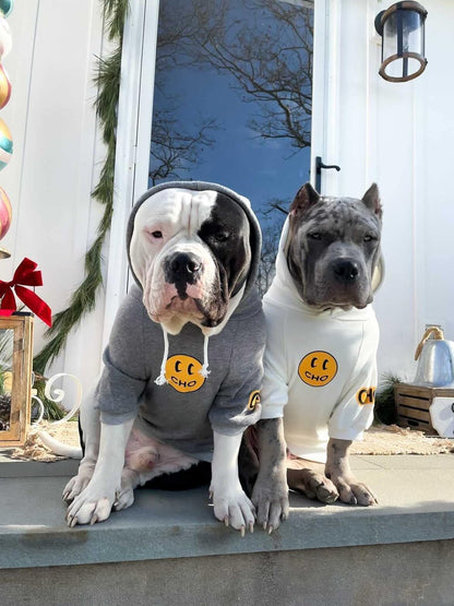 Chochocho Smiley Dog Hoodie Stylish Dog Clothes Smiley Face Sweater Cotton Sweatshirt Fashion Outfit for Dogs Cats Puppy Small Medium Large (X-Large, Grey)