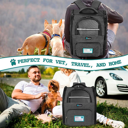Petami Dog Backpack Carrier for Small Large Cat, Pet, Puppy, Ventilated Pet Hiking Backpack Travel Bag, Airline Approved Cat Backpack Carrier, Camping Biking Dog Bag up to 18Lbs Pet, Charcoal