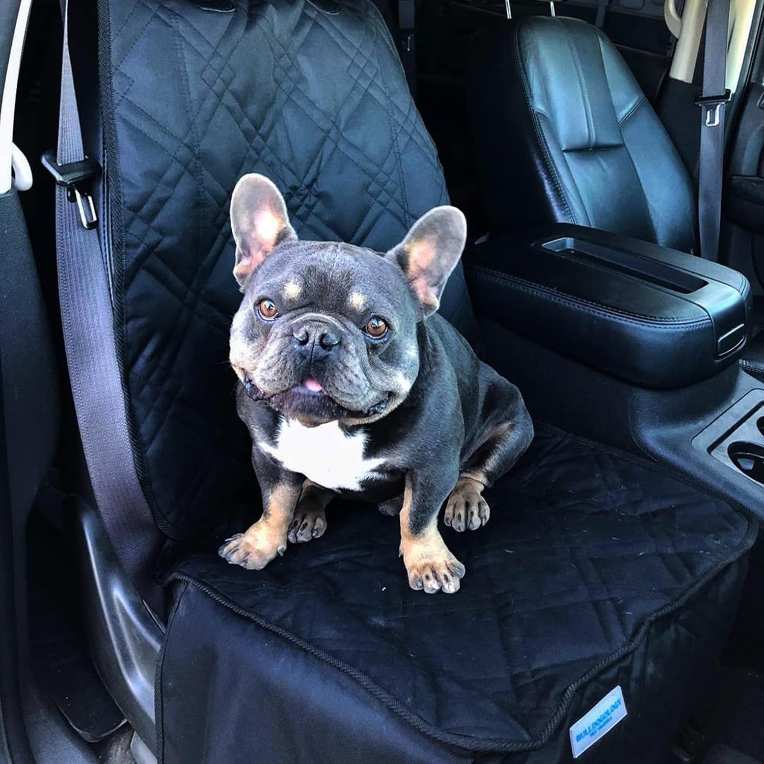 Bulldogology Front Car Seat Covers for Dogs - Heavy Duty Dog Seat Cover for Cars, Trucks, Vans, and Suvs - 100% Waterproof Front Seat Dog Cover - Passenger Dog Car Seat Cover for Front Seat (Black)