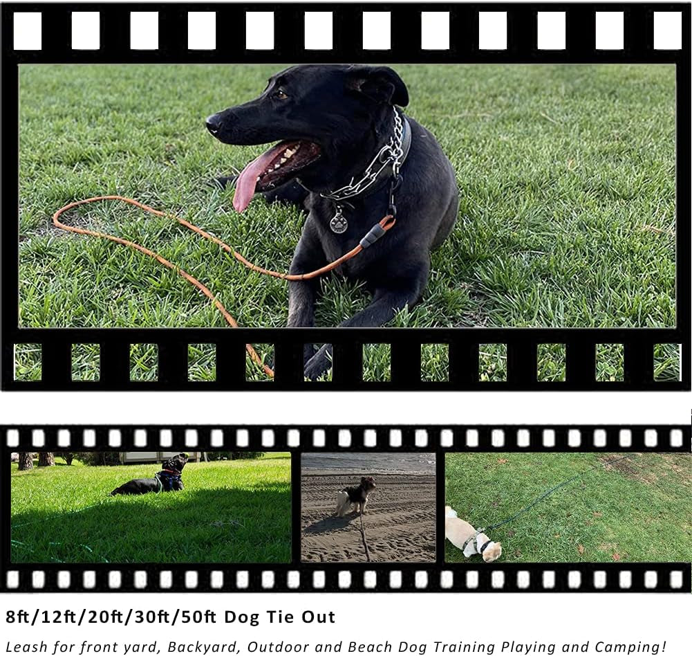 BTINESFUL Tie-Out Check Cord Long Rope Dog Tether, 12Ft 20Ft 30Ft 50Ft Oudoor Dog Lead for Yard - Large Medium Small Dogs Training, Playing, Camping, or Backyard (30Ft, Beige Black)
