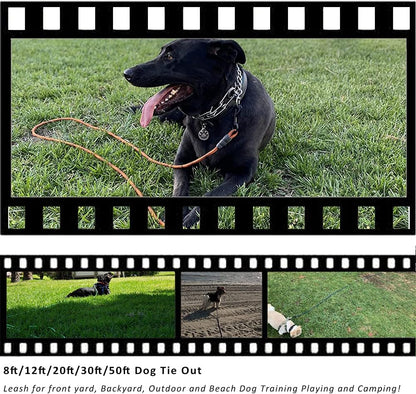 BTINESFUL Tie-Out Check Cord Long Rope Dog Tether, 12Ft 20Ft 30Ft 50Ft Oudoor Dog Lead for Yard - Large Medium Small Dogs Training, Playing, Camping, or Backyard (30Ft, Beige Black)