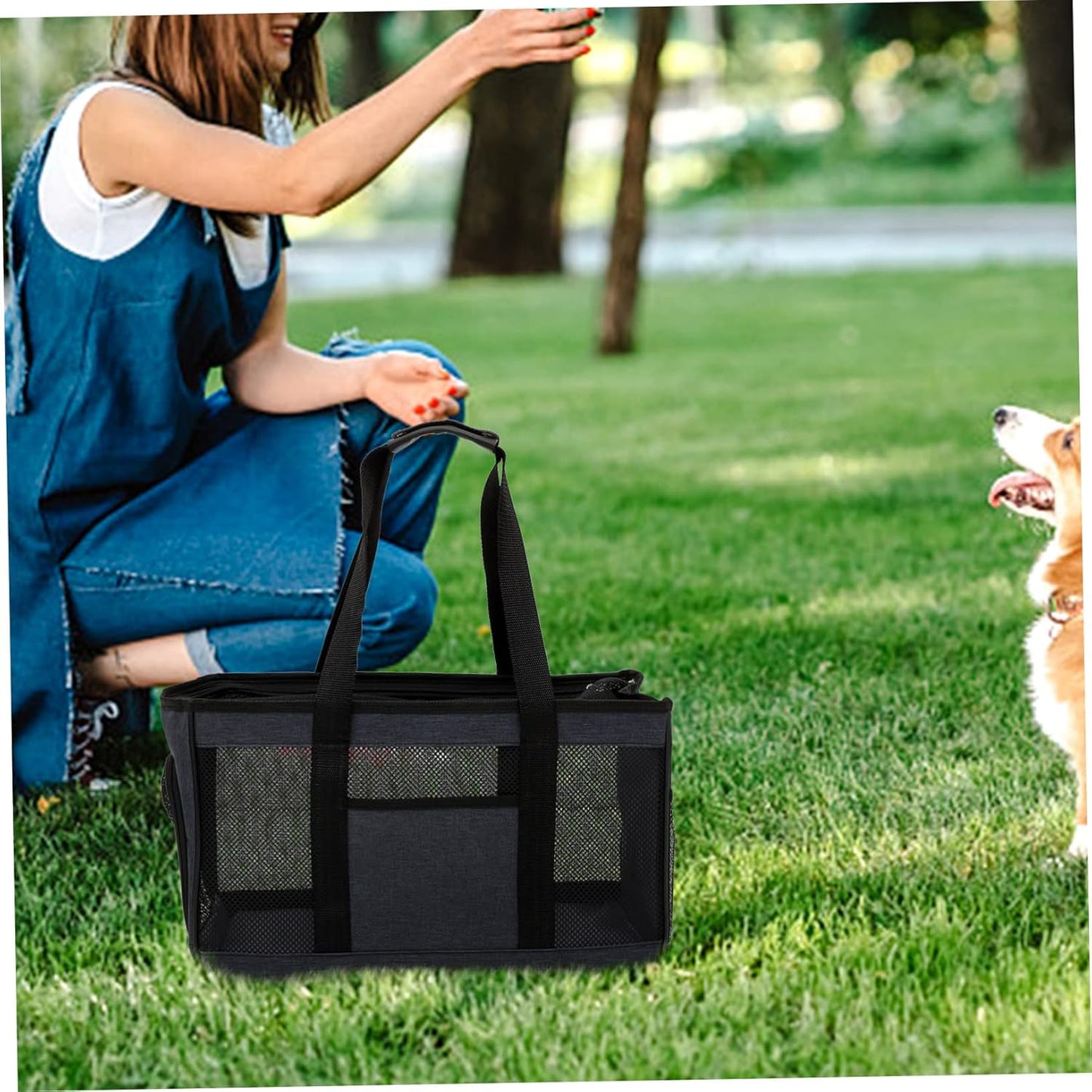 BESPORTBLE Durable Pet Carrier Bag for Outdoor Breathable Cat Travel Tote Small Cat Carrier Zipper