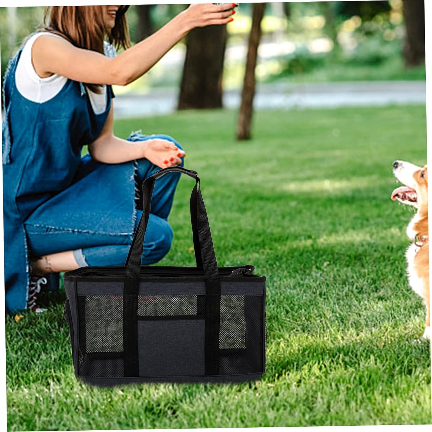 BESPORTBLE Durable Pet Carrier Bag for Outdoor Breathable Cat Travel Tote Small Cat Carrier Zipper