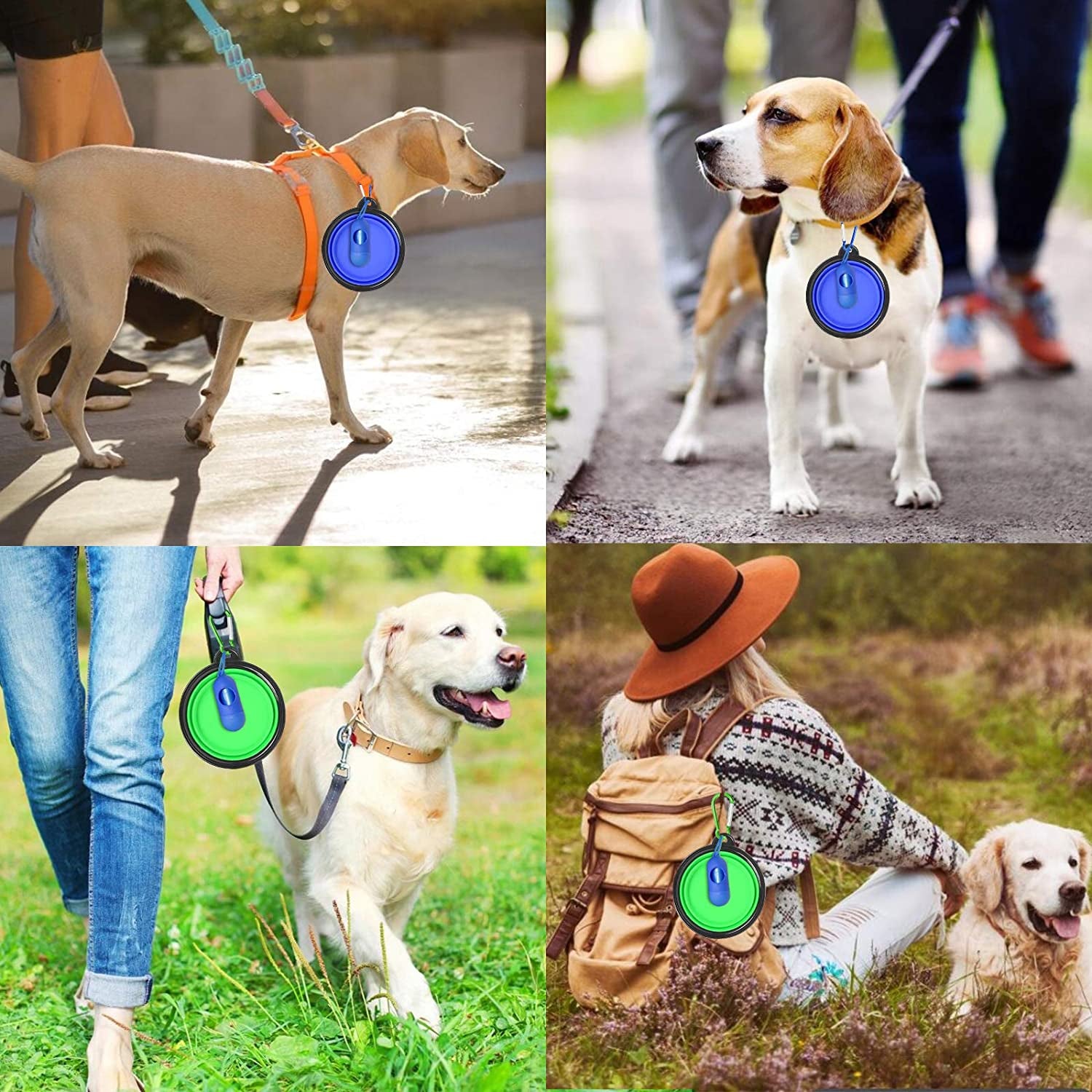 AGECASH a Collapsible Dog Bowls, Portable Travel Dog Bowls, Expandable for Cat Dog Water Bowls Food Feeding, 2 Pack Silicone Pet Bowls with Waste Bag Dispenser