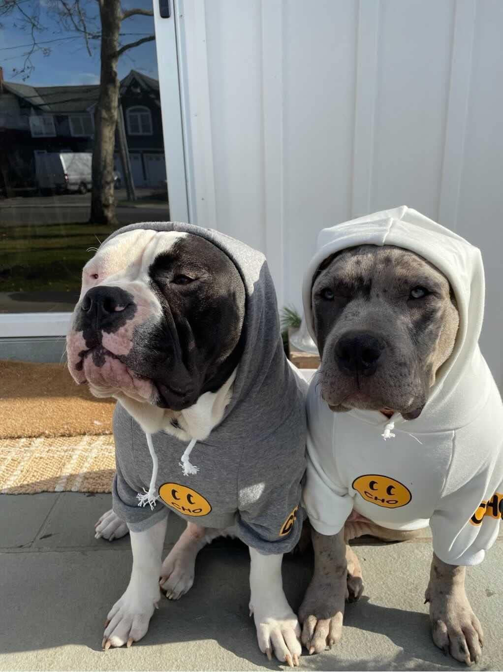 Chochocho Smiley Dog Hoodie Stylish Dog Clothes Smiley Face Sweater Cotton Sweatshirt Fashion Outfit for Dogs Cats Puppy Small Medium Large (X-Large, Grey)